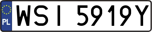 WSI5919Y