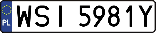 WSI5981Y