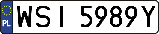 WSI5989Y