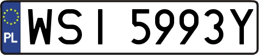 WSI5993Y