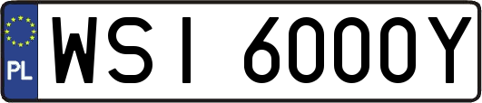 WSI6000Y