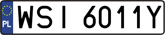 WSI6011Y