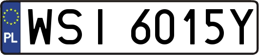 WSI6015Y