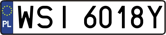 WSI6018Y