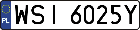 WSI6025Y
