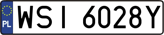 WSI6028Y