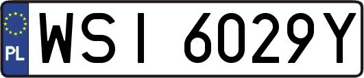 WSI6029Y
