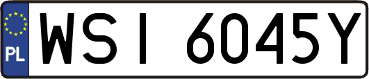 WSI6045Y