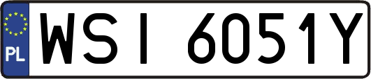 WSI6051Y