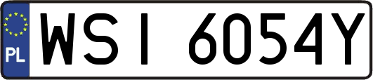 WSI6054Y