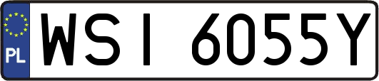 WSI6055Y