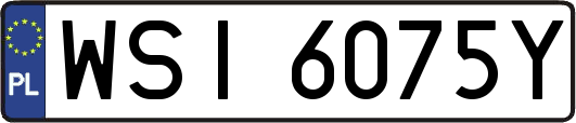 WSI6075Y