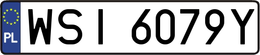 WSI6079Y