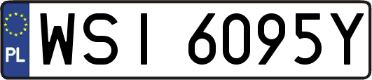 WSI6095Y