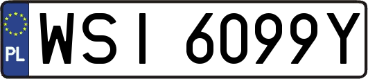 WSI6099Y