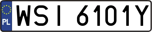 WSI6101Y