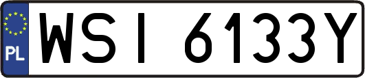 WSI6133Y