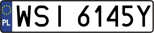 WSI6145Y