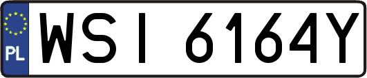 WSI6164Y