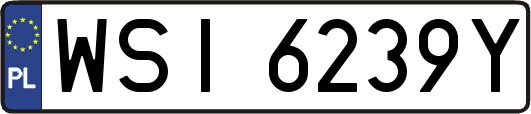 WSI6239Y