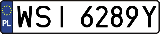 WSI6289Y