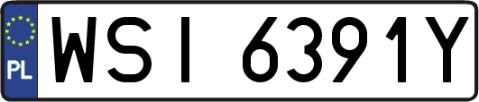 WSI6391Y