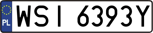 WSI6393Y
