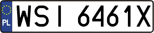 WSI6461X