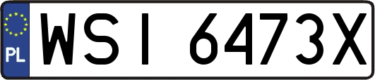 WSI6473X