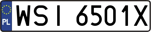 WSI6501X