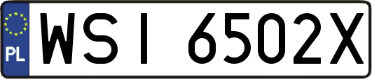WSI6502X