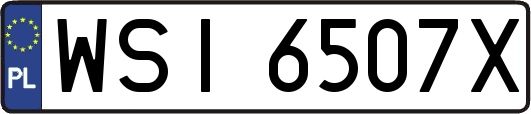 WSI6507X