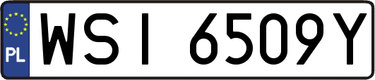 WSI6509Y