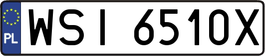 WSI6510X