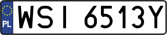 WSI6513Y