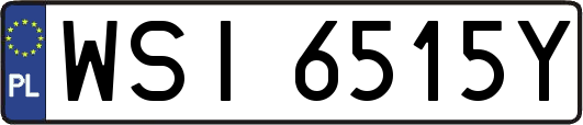 WSI6515Y