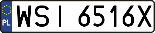 WSI6516X