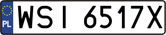 WSI6517X
