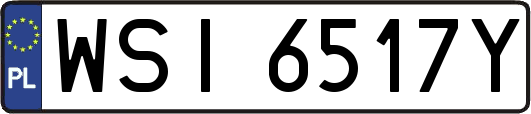 WSI6517Y