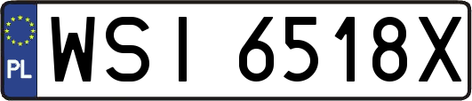WSI6518X