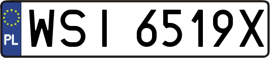 WSI6519X