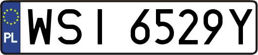 WSI6529Y