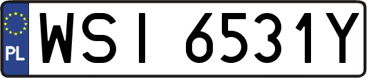 WSI6531Y