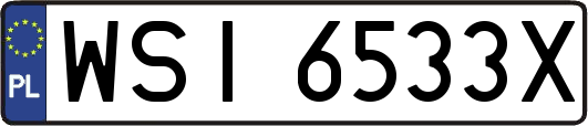 WSI6533X
