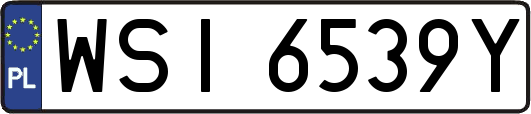 WSI6539Y