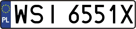 WSI6551X