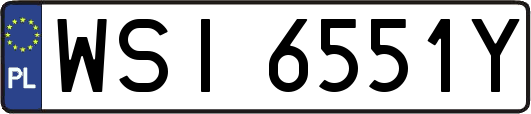 WSI6551Y