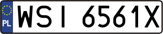WSI6561X
