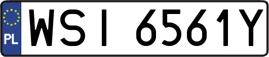 WSI6561Y