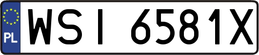 WSI6581X
